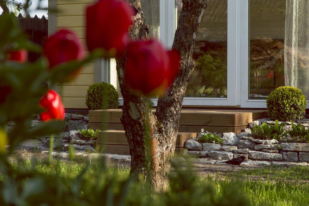 Kaevu Holiday House Pärnu Chambre photo